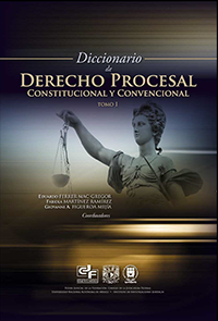 Diccionario de Derecho Procesal Constitucional y Convencional Tomo Uno