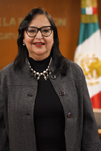 Norma Lucía Piña Hernández